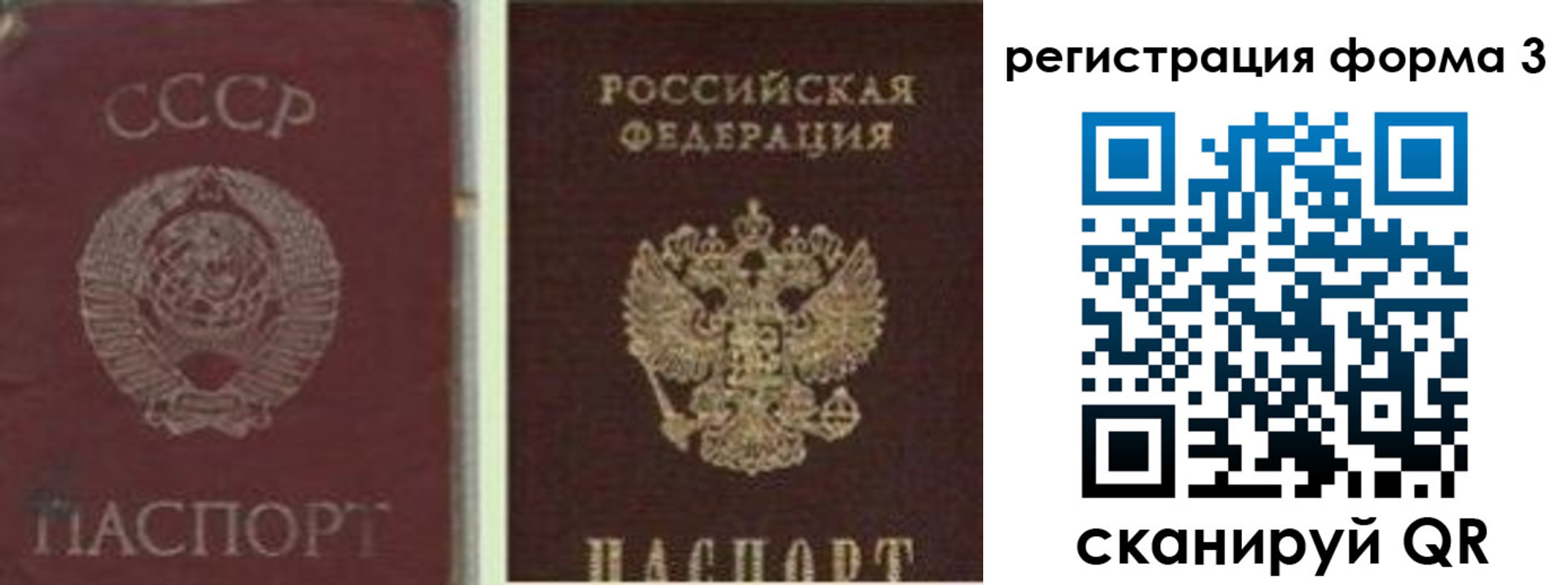 прописка для школы в Ковдоре